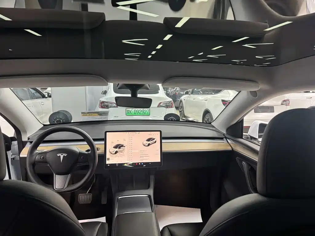 Tesla Model Y — миниатюра 4