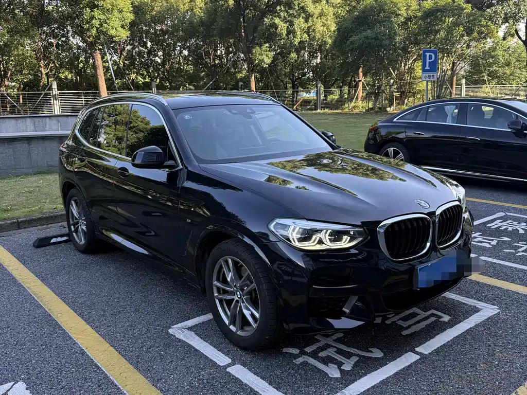BMW X3 — миниатюра 3