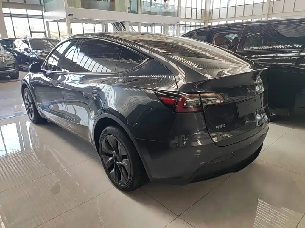 Tesla Model Y — миниатюра 5