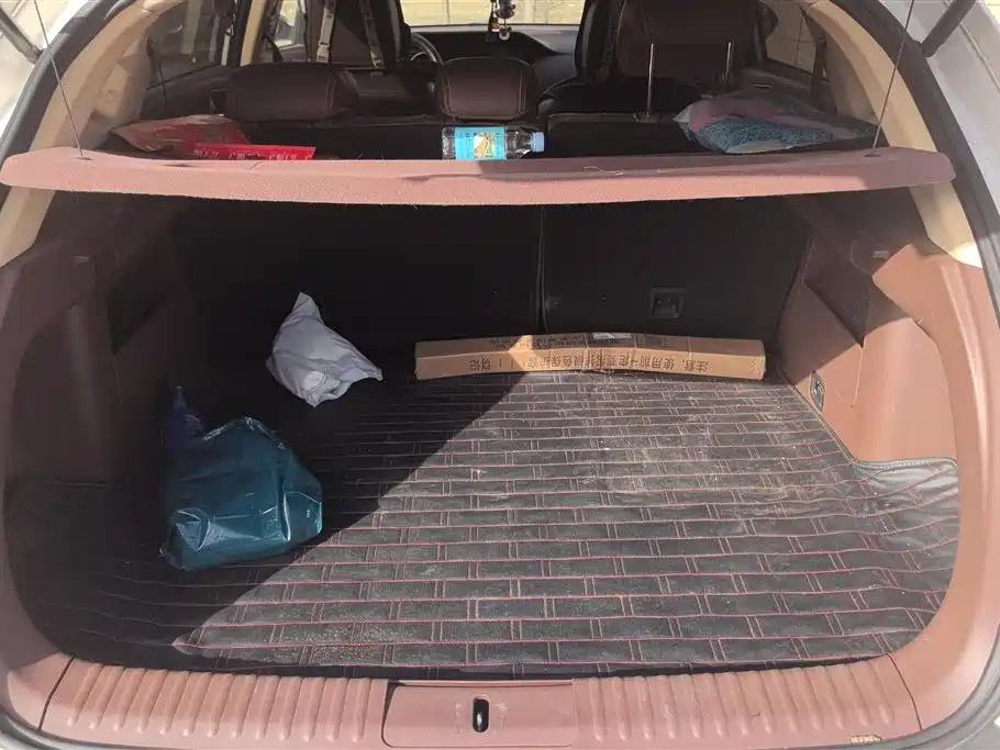 CHEETAH CARS CHEETAH CS10