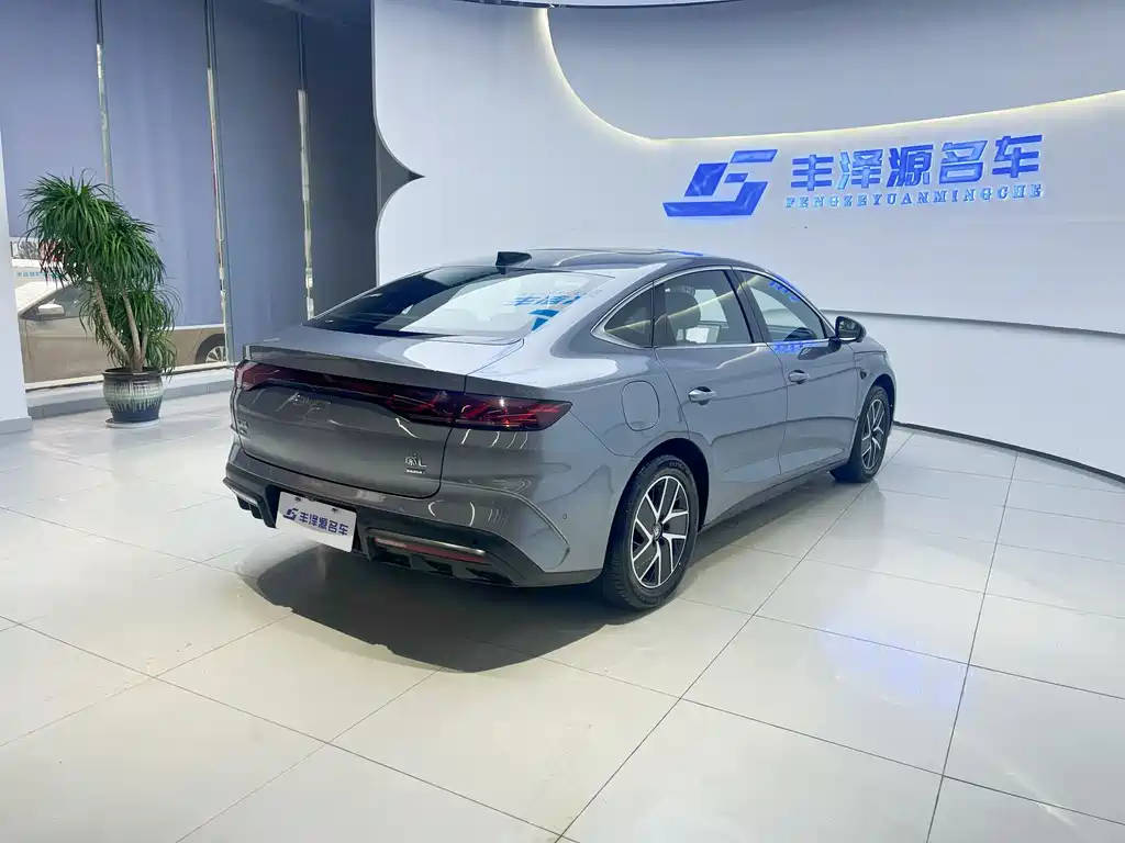 BYD QIN L