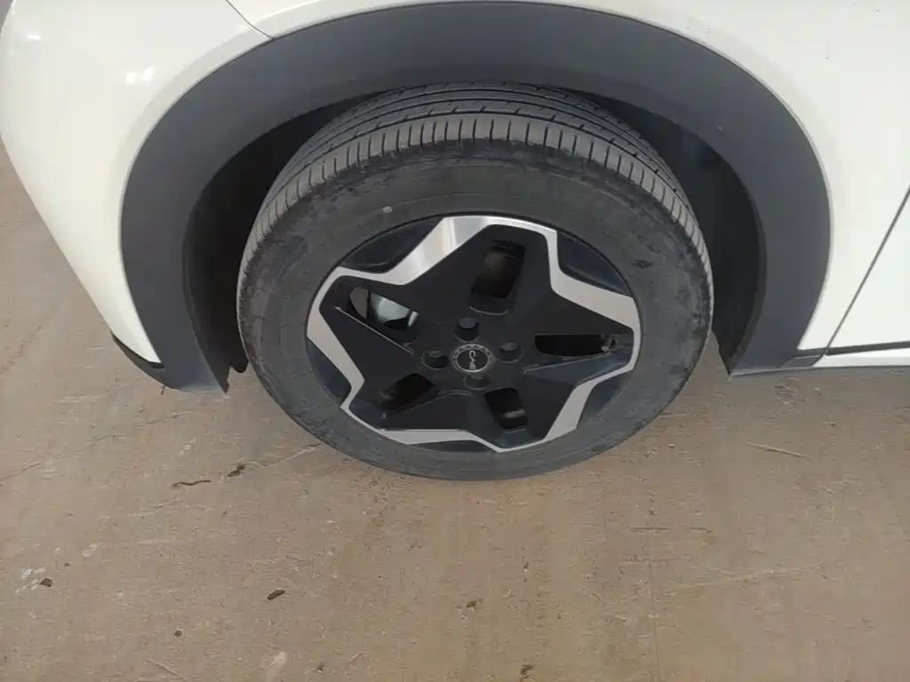 BYD Dolphin — миниатюра 23