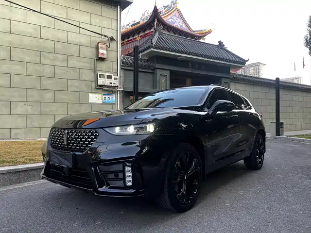 WEI PAI WEI BRAND VV7