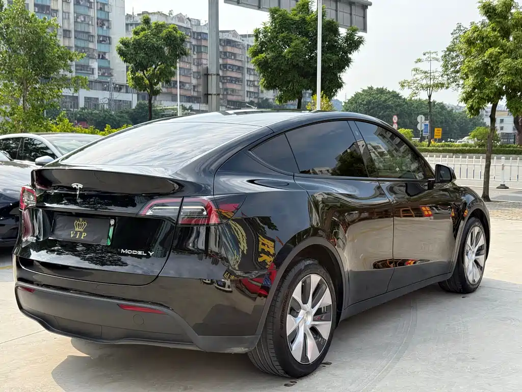 Tesla Model Y — миниатюра 6