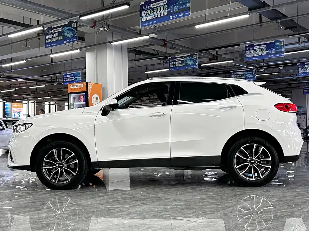 WEI PAI WEI BRAND VV5