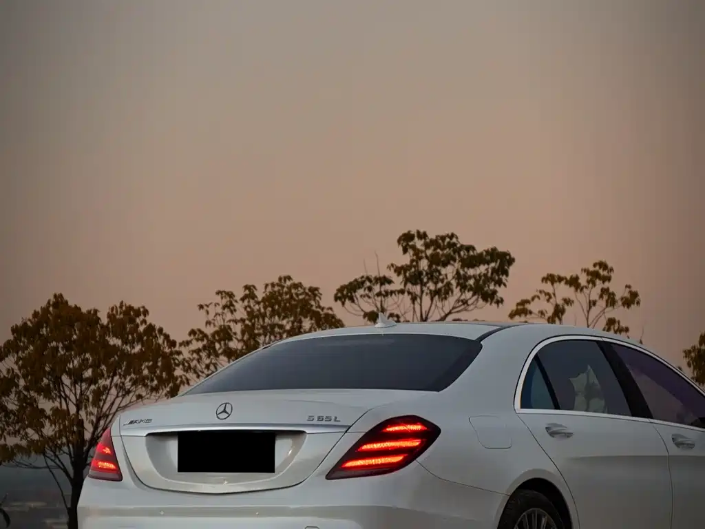 Mercedes-Benz S-Class A MG S AMG 2014 AMG S 65 L
