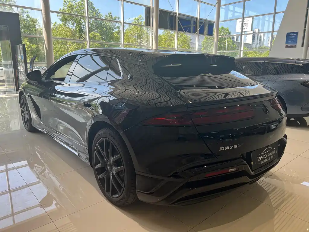 Denza Denza Z9GT — миниатюра 9