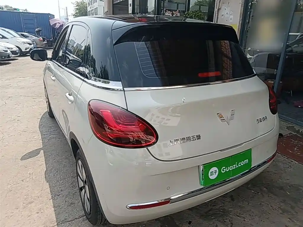 Wuling Binguo 2024 333km Enjoy