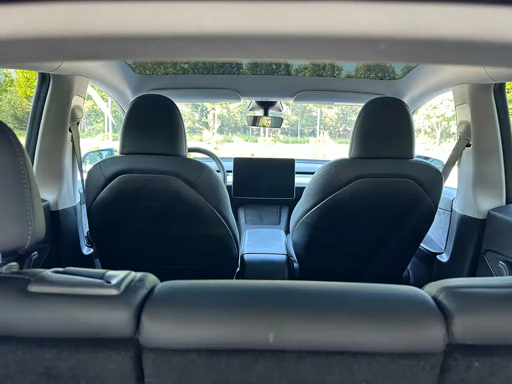 Tesla Model Y — миниатюра 12