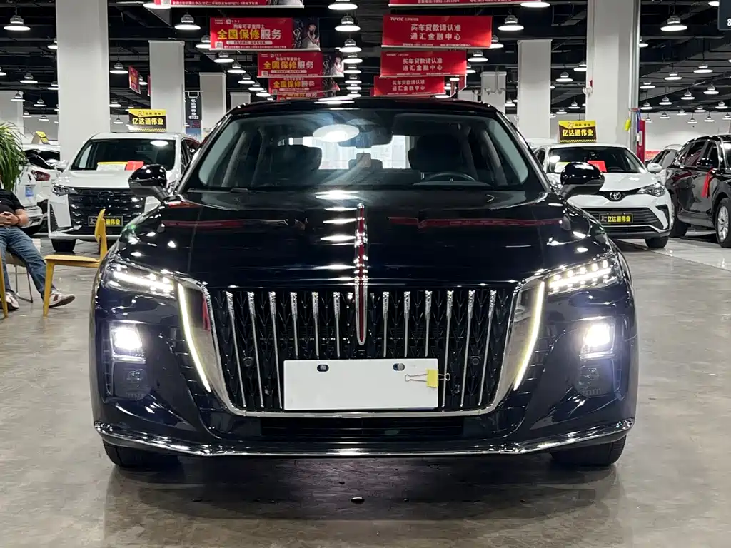 Hongqi Hongqi H5 2024