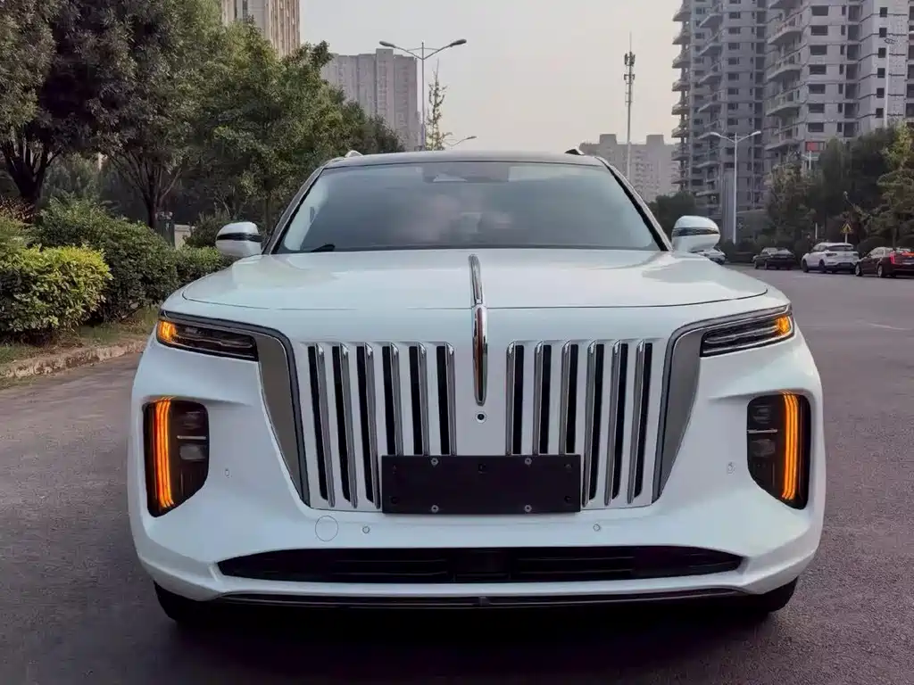Hongqi Hongqi E-HS9 — миниатюра 2