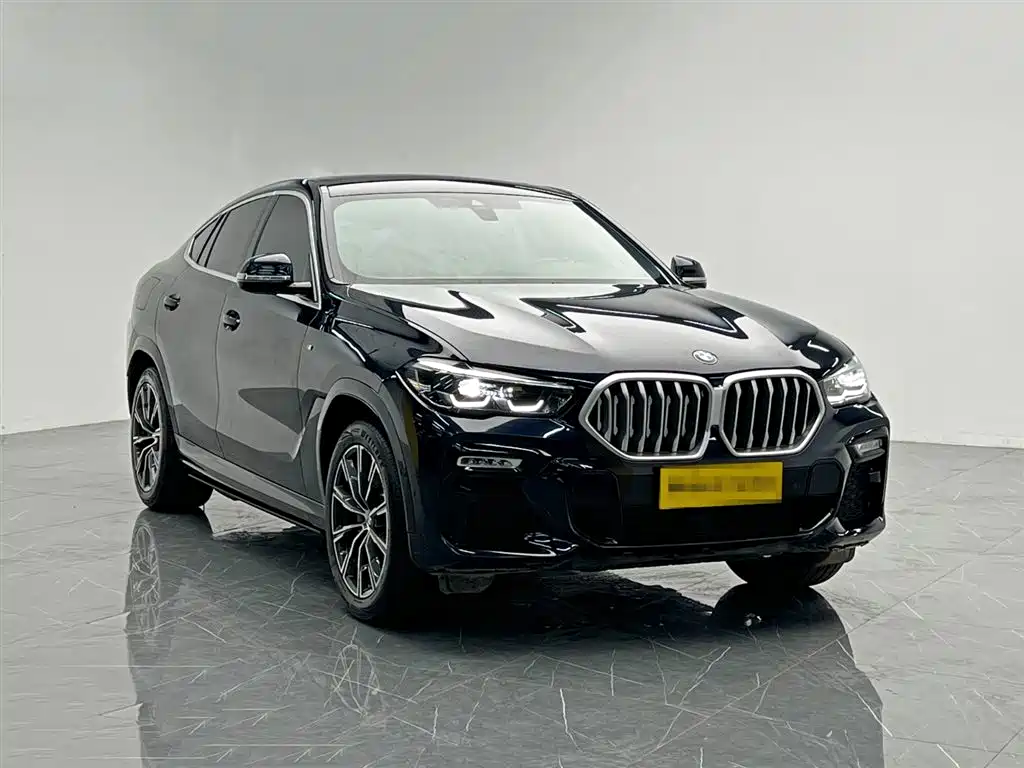 BMW X6 2021 xDrive30i M Sport