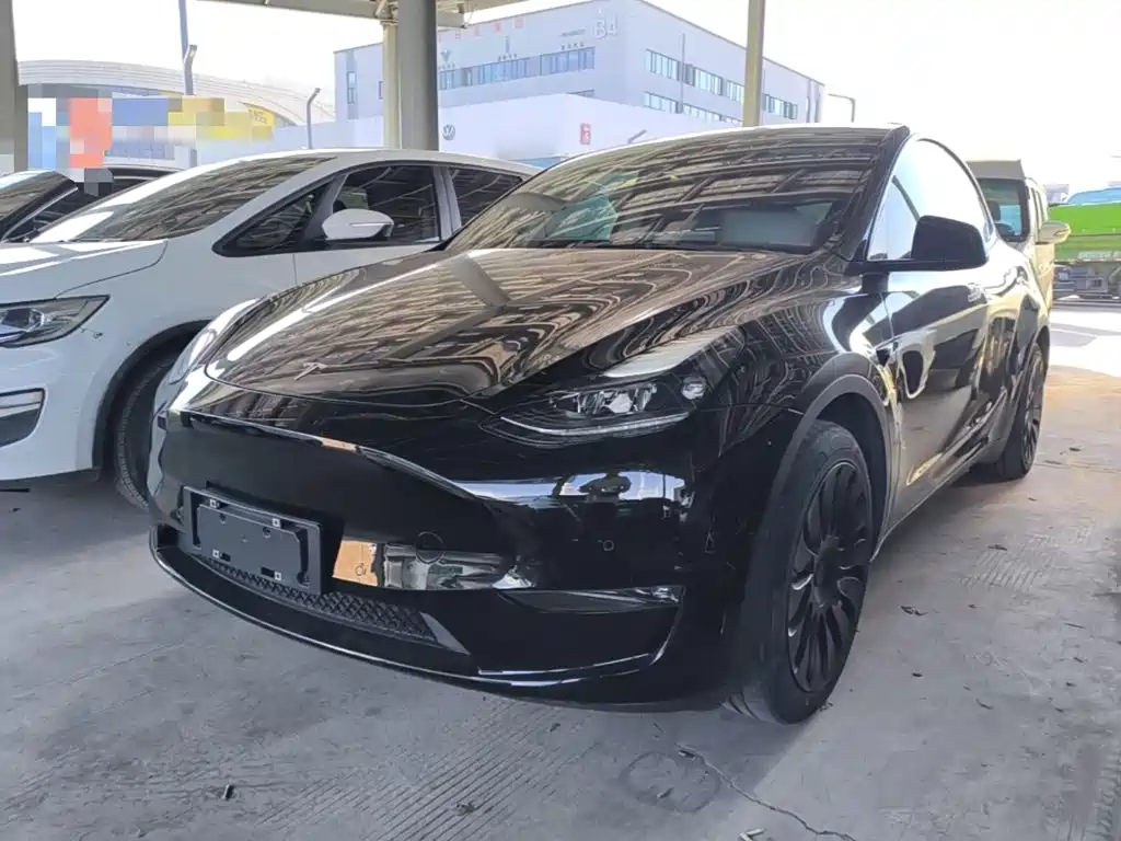 Tesla Model Y — миниатюра 2