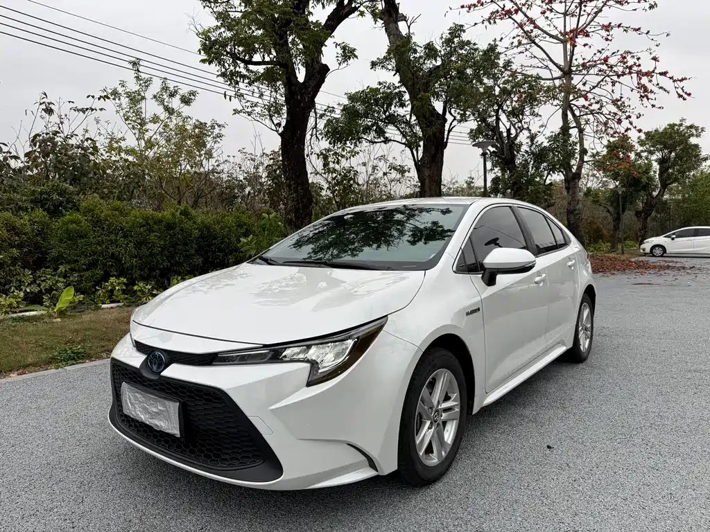 TOYOTA LEI LING