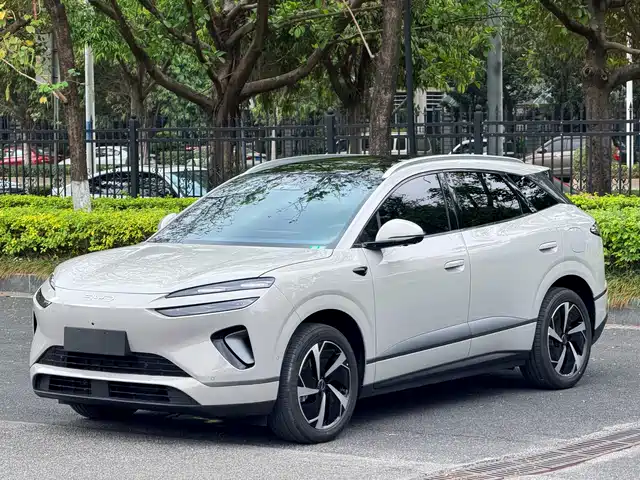 2025 BYD Sea Lion