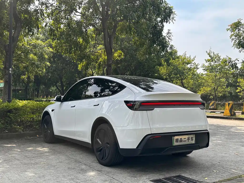 Tesla Model Y — фотографии объявления, Фото 7