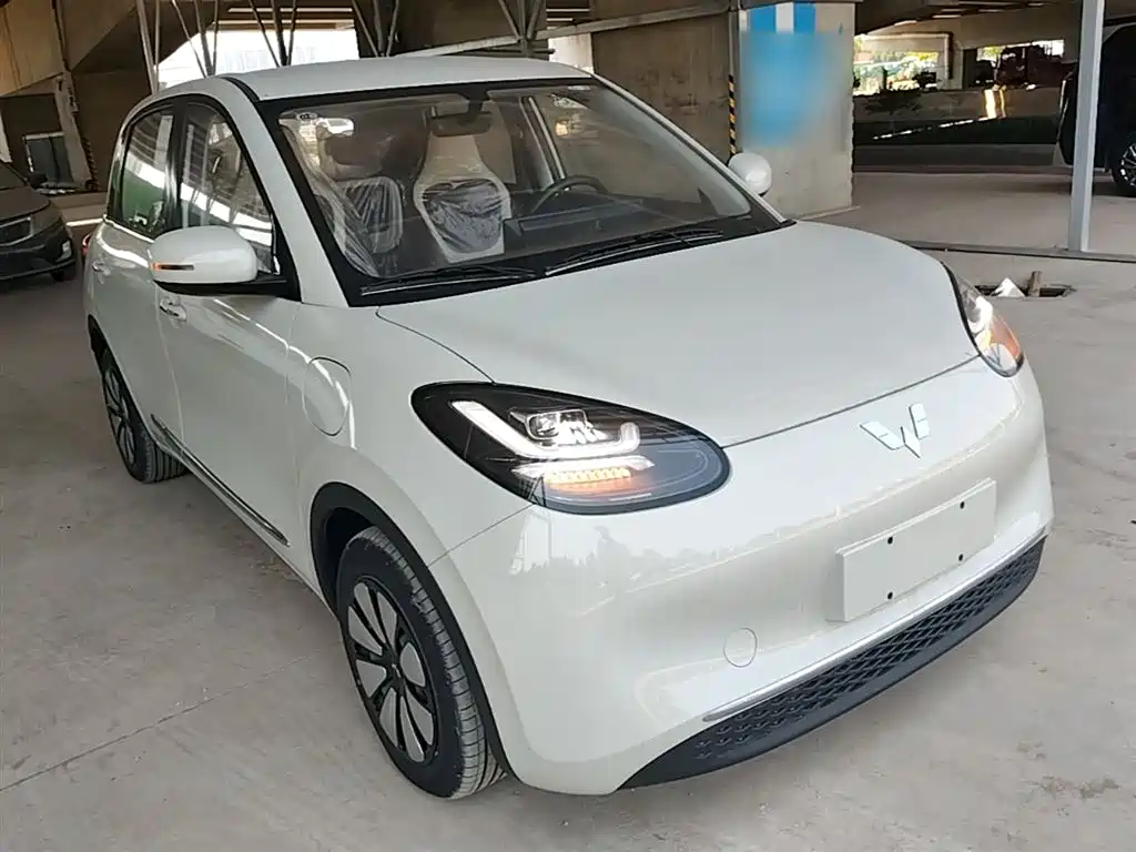 Wuling Binguo 2024 333km Enjoy