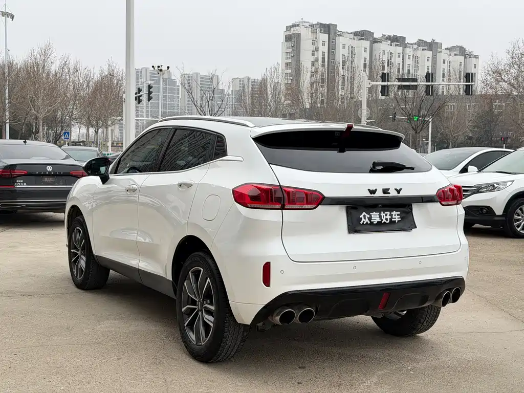 WEI PAI WEI BRAND VV5