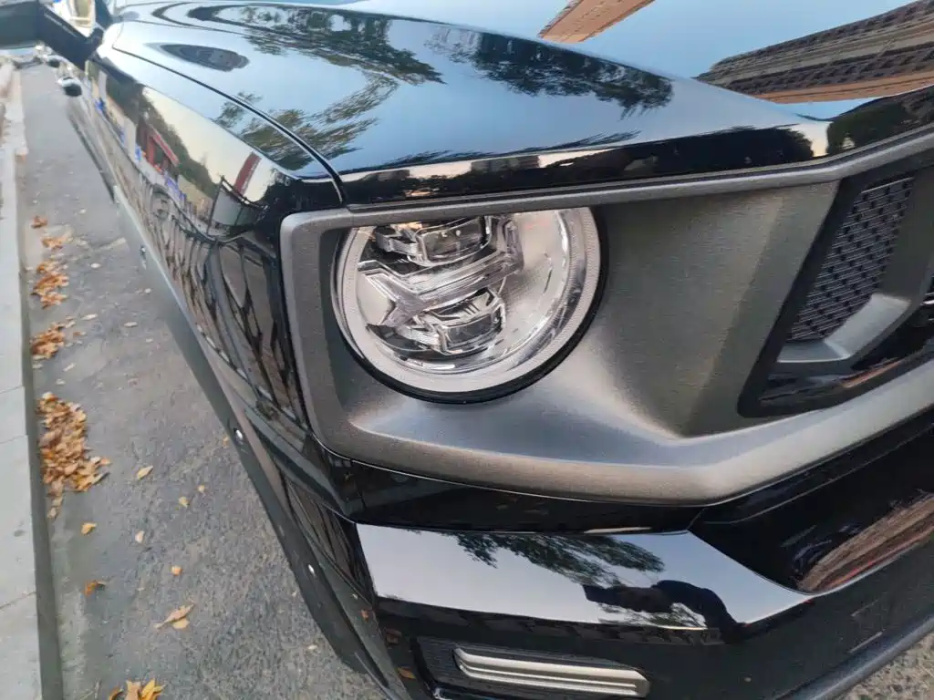 Haval Big Dog PLUS — миниатюра 7