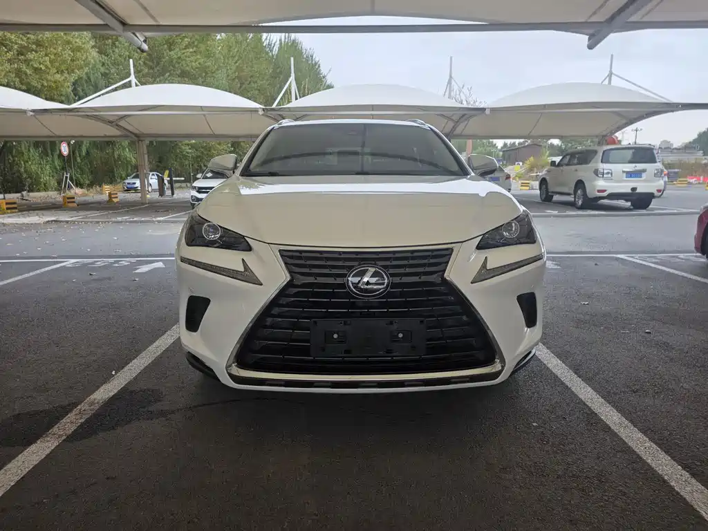 Lexus NX — миниатюра 2