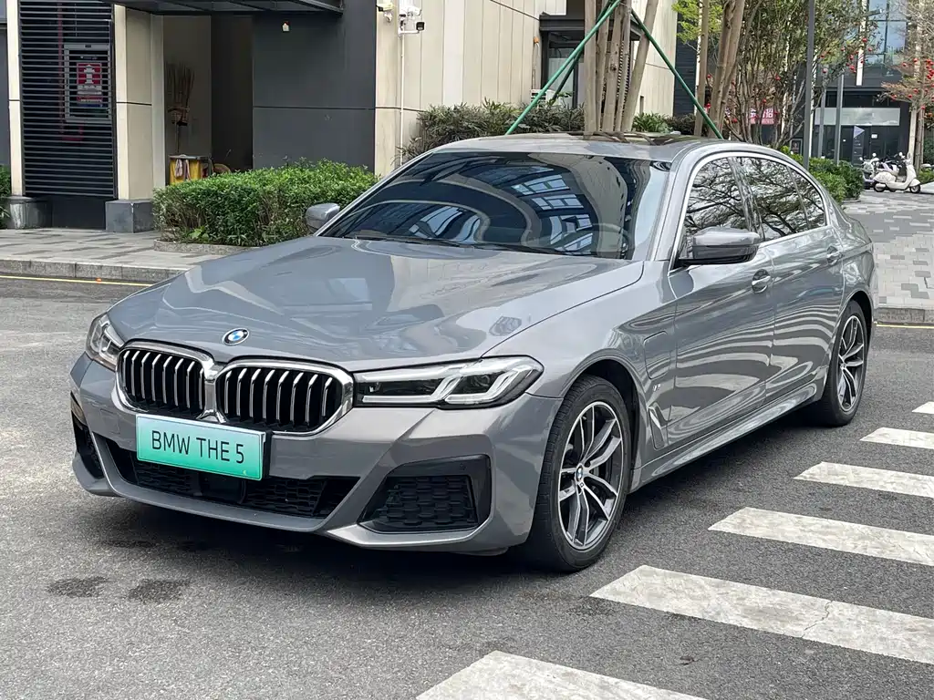 BMW 5 Series New Energy 2021