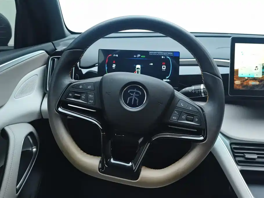 BYD SONGJIANG NEW ENERGY