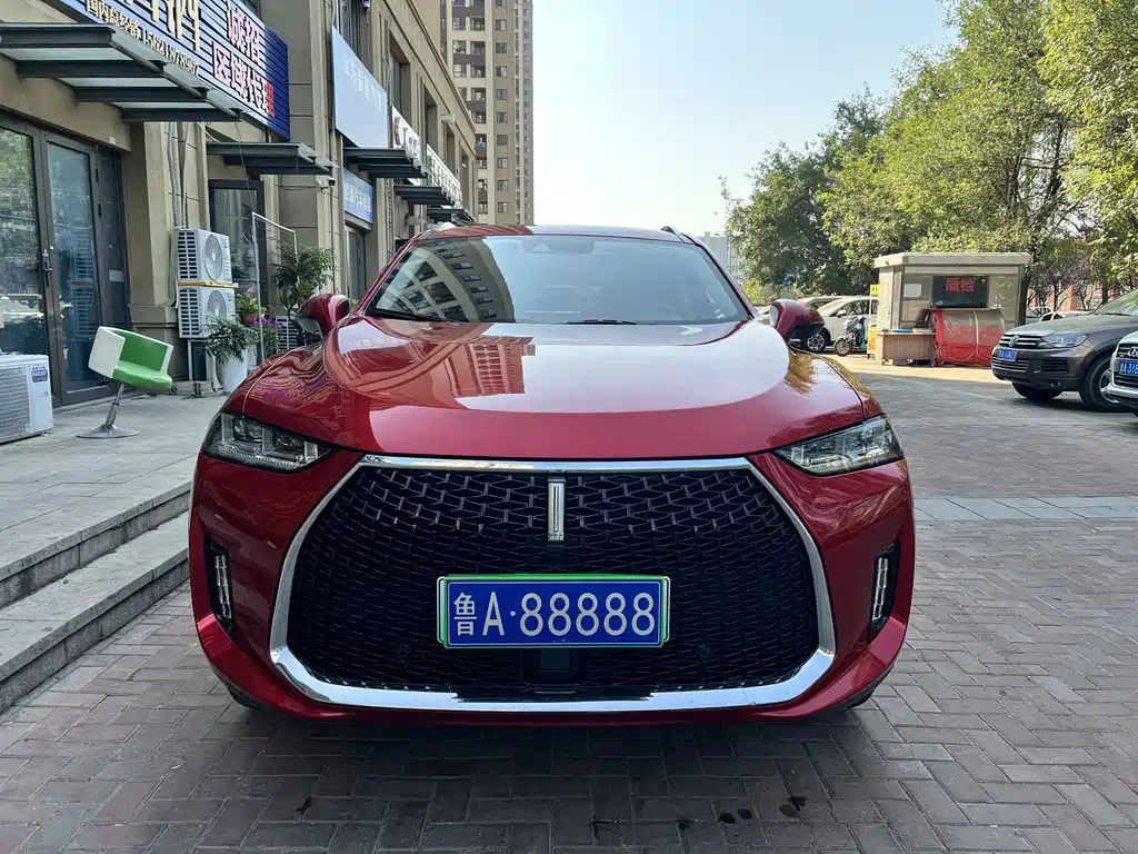 Wey Wey P8 — миниатюра 2