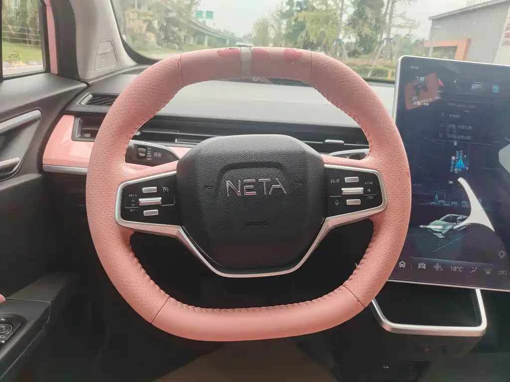 Neta Neta V — миниатюра 4