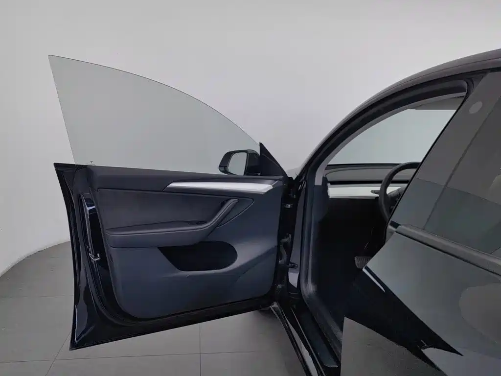 Tesla Model Y — миниатюра 8