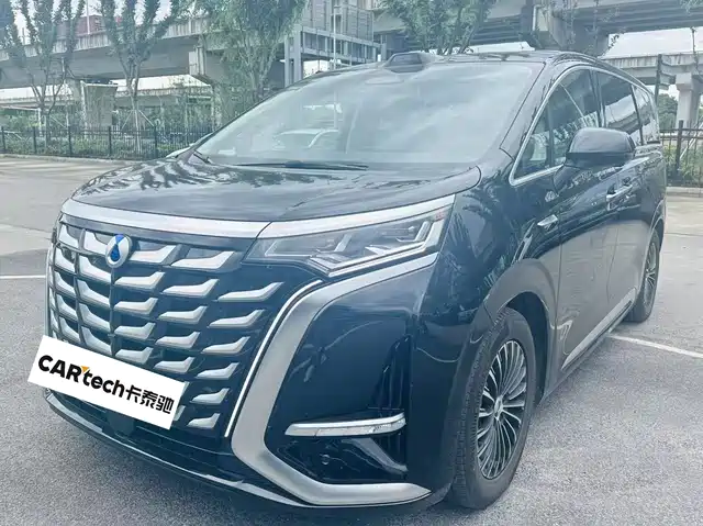 2025 Denza D9