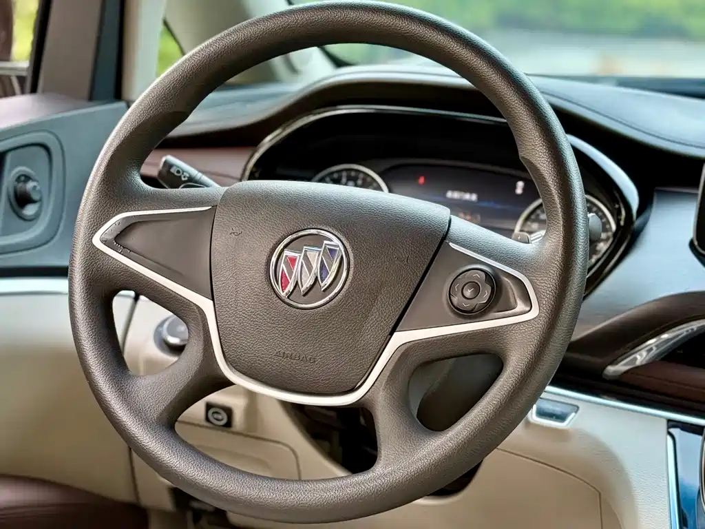 Buick GL8 — миниатюра 16