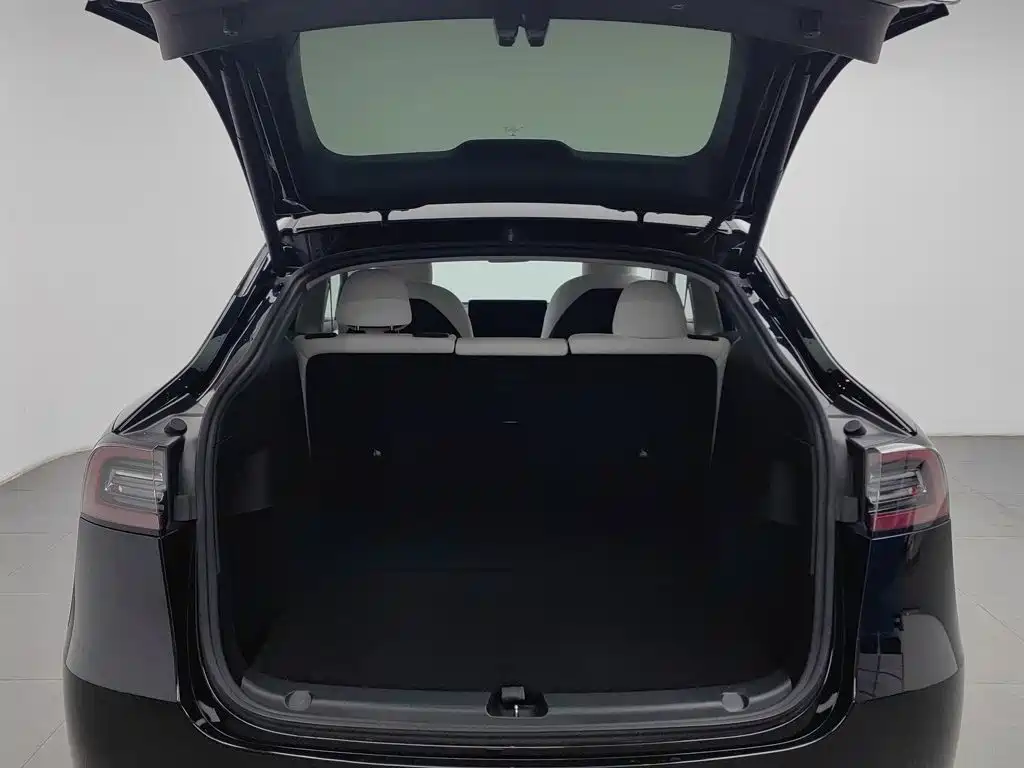 Tesla Model Y — миниатюра 16