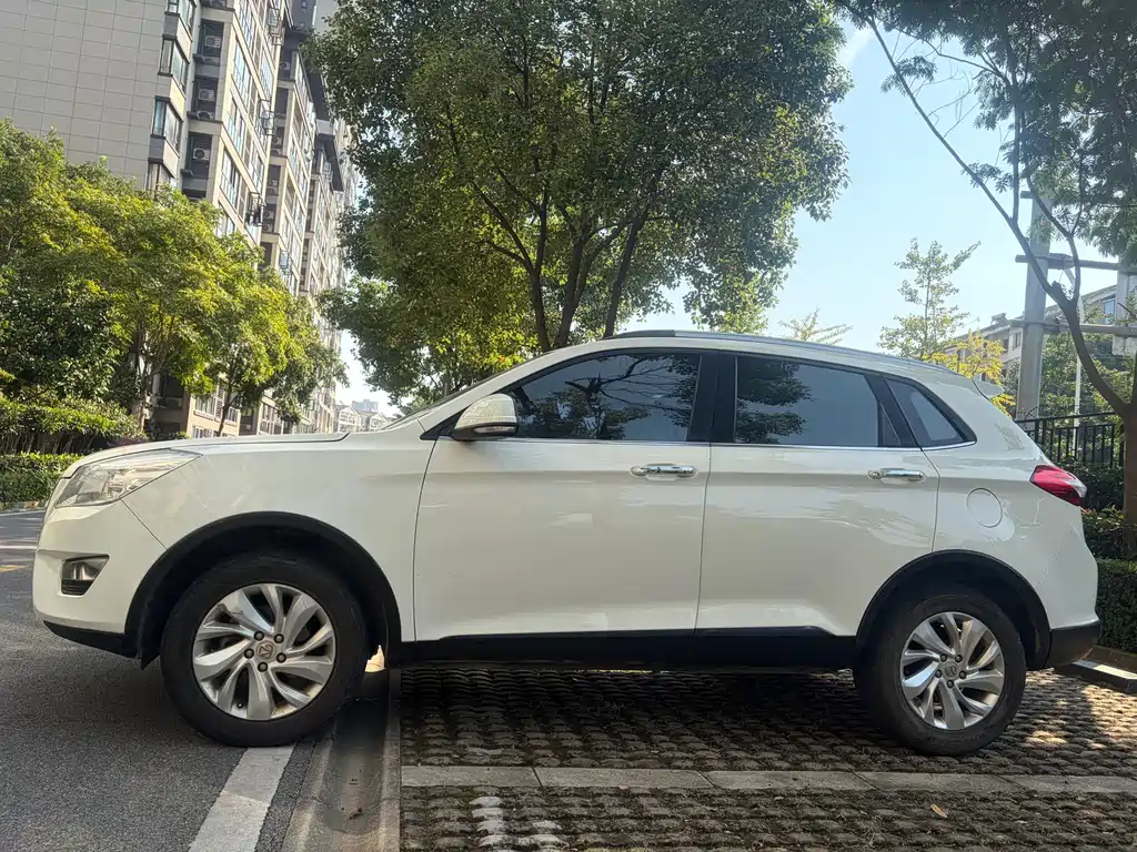 BAW Weiwang S50 — миниатюра 4