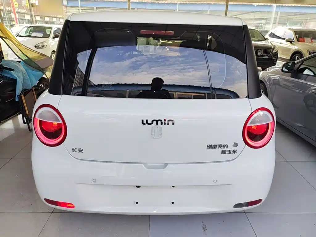Qiyuan Lumin — миниатюра 6