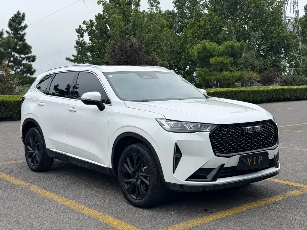 Haval H6 — миниатюра 2