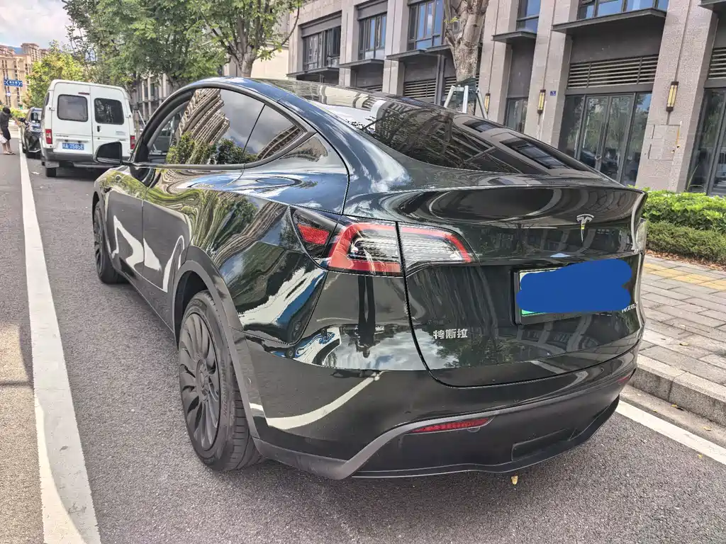 Tesla Model Y — миниатюра 22