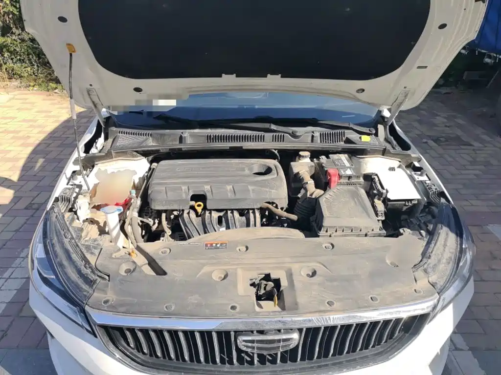 Geely Emgrand — миниатюра 11