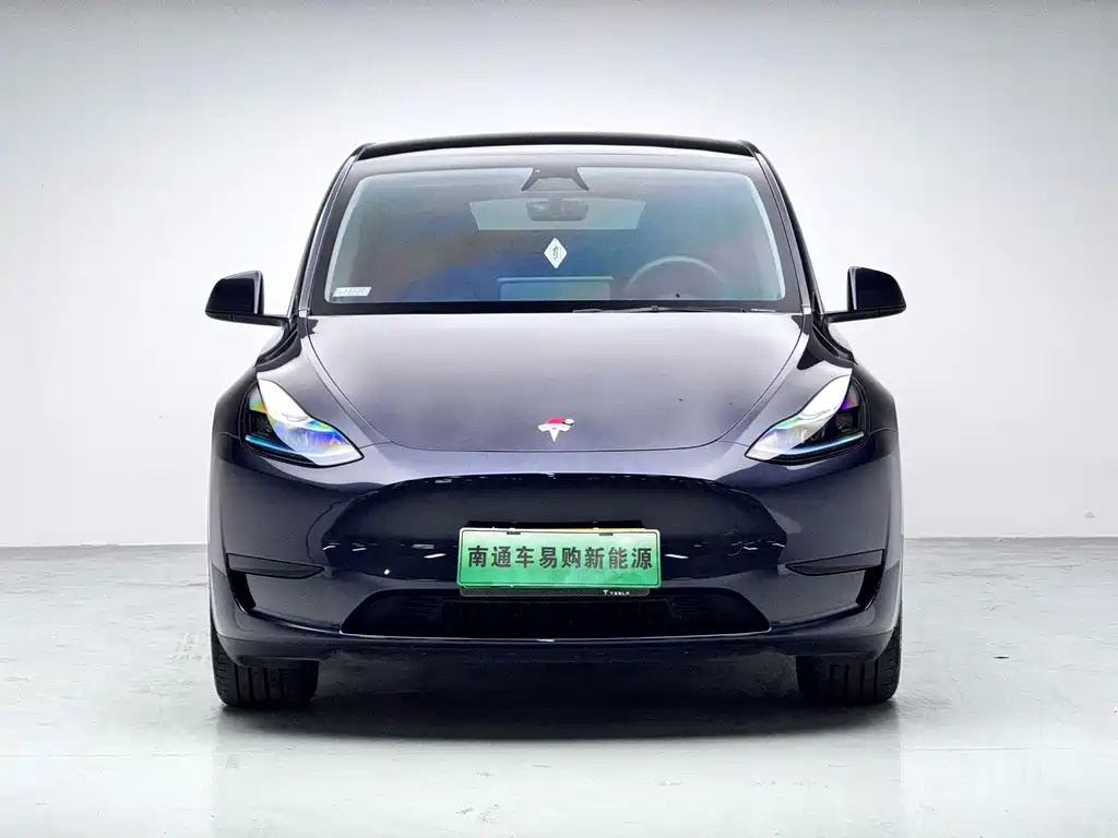 Tesla Model Y — миниатюра 2