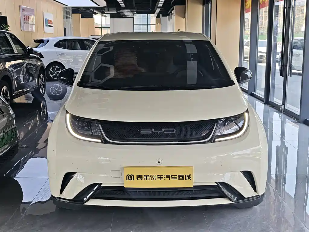BYD Dolphin 2023 420km Fashion