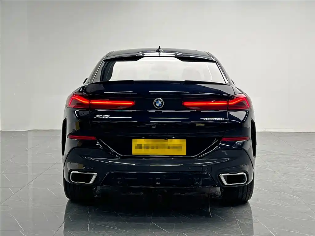 BMW X6 2021 xDrive30i M Sport