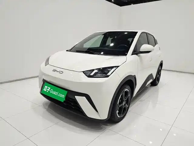 2023 BYD Seagull
