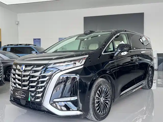 2025 Denza D9