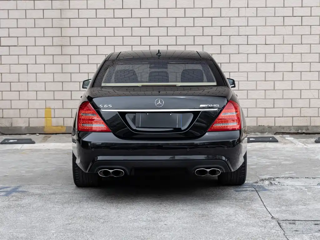 Mercedes-Benz S-Class A MG S AMG 2010 AMG S 65