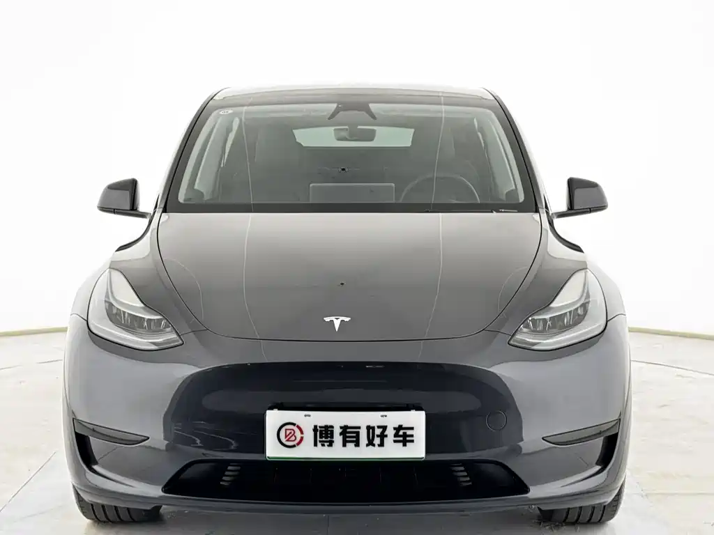 Tesla Model Y — миниатюра 2