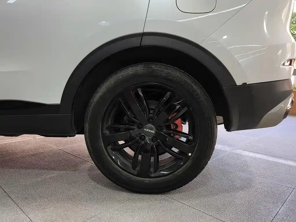 Haval H6 — миниатюра 16