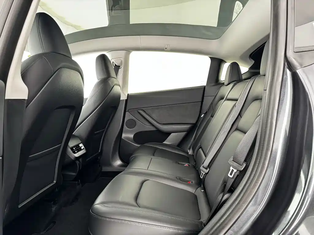 Tesla Model Y — миниатюра 6