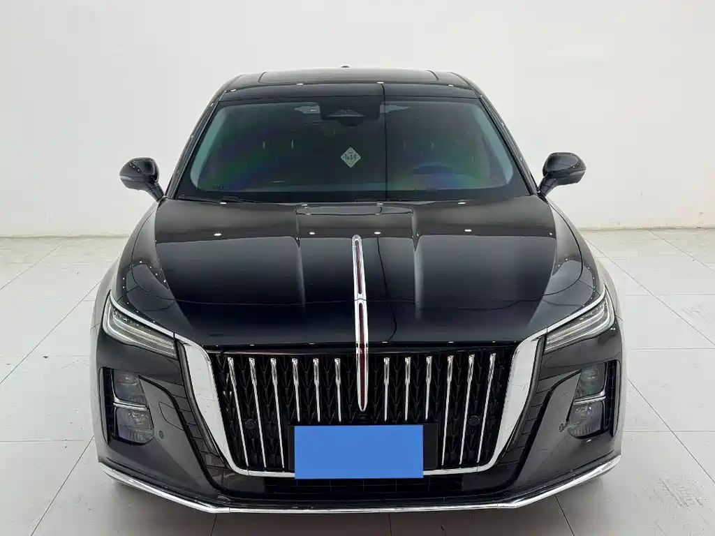 Hongqi Hongqi H5 — миниатюра 4