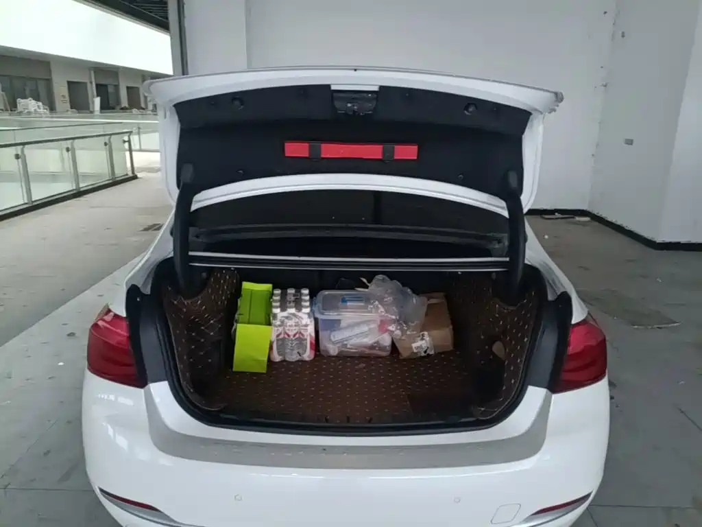 BMW 3 Series — миниатюра 19