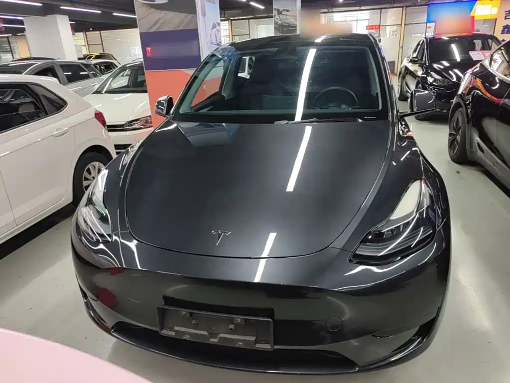 Tesla Model Y — миниатюра 3