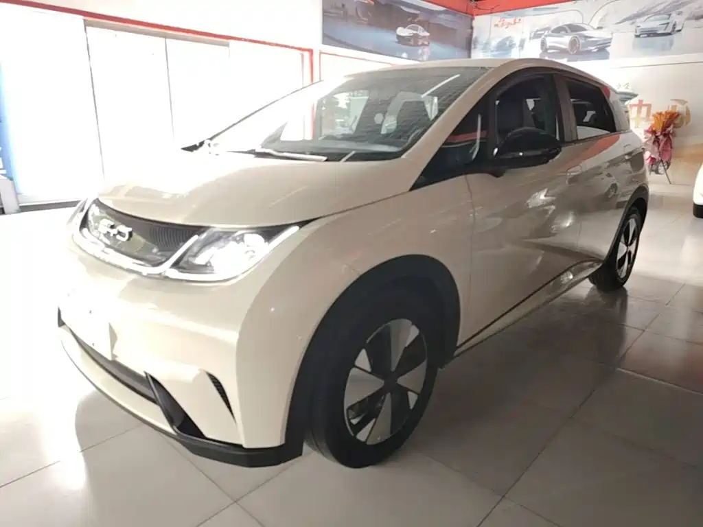 BYD Dolphin — миниатюра 2